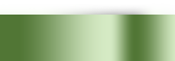 dsgn_1265_shape.png