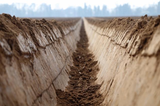 farming_%28800x532%29.jpg